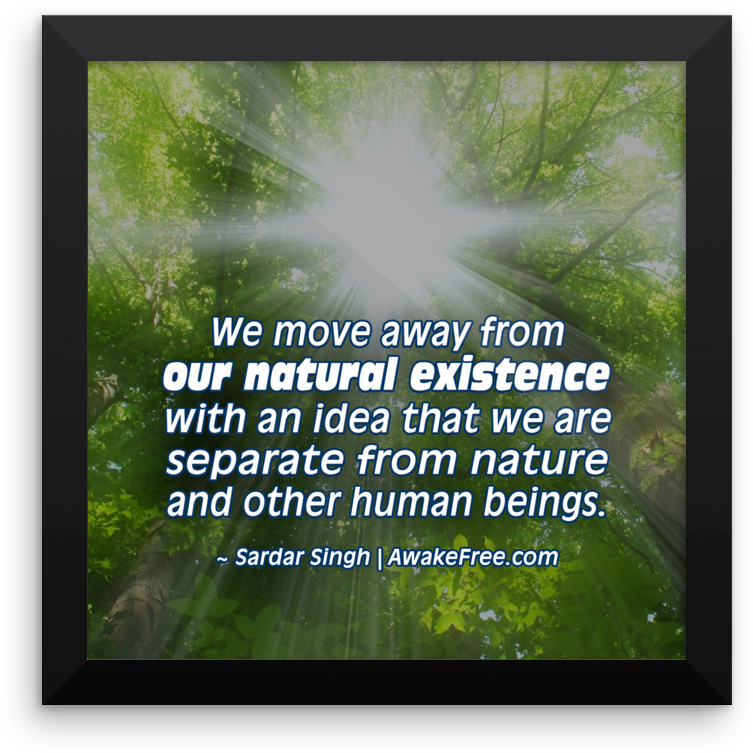 Our Natural Existence An Inspiring Framed Poster Ready - Grass (1000x1000), Png Download