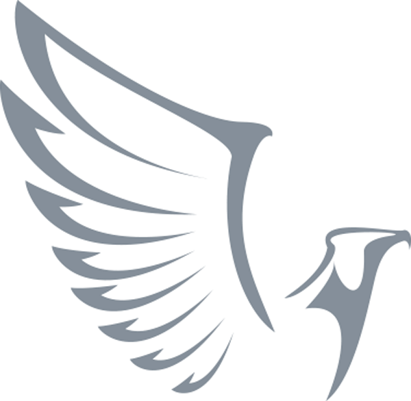 General Building, Specialist Building, Construction - Eagle In Logo Png (600x586), Png Download