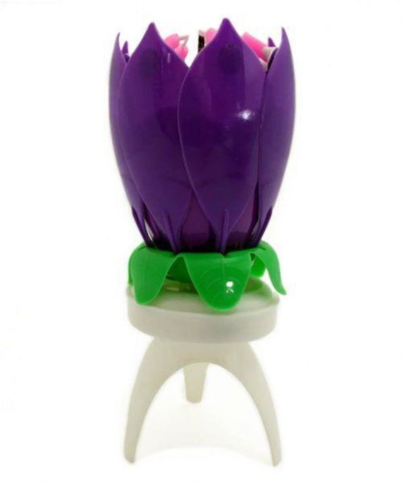 Medium Size Of Happy Birthday Lotus Candle Rotating - Tulip (728x728), Png Download