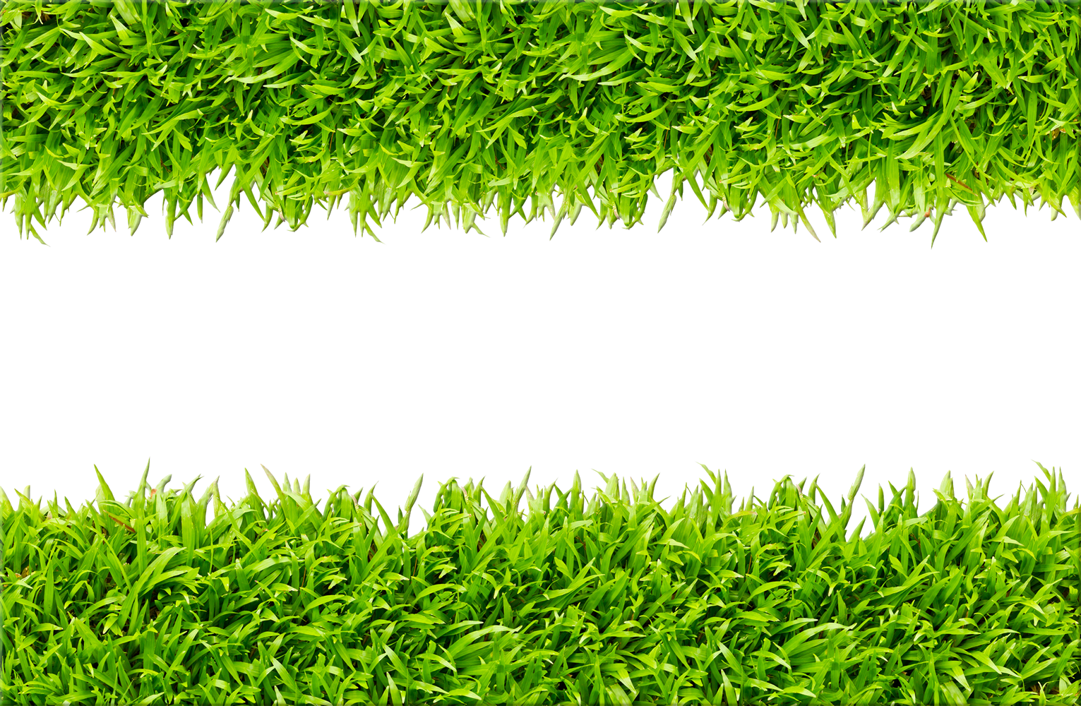 Steve's Rental & Service - Green Grass Background Free (1531x1000), Png Download