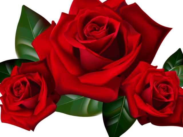 Red Flower Clipart Png Format - Red Rose Transparent Background (640x480), Png Download
