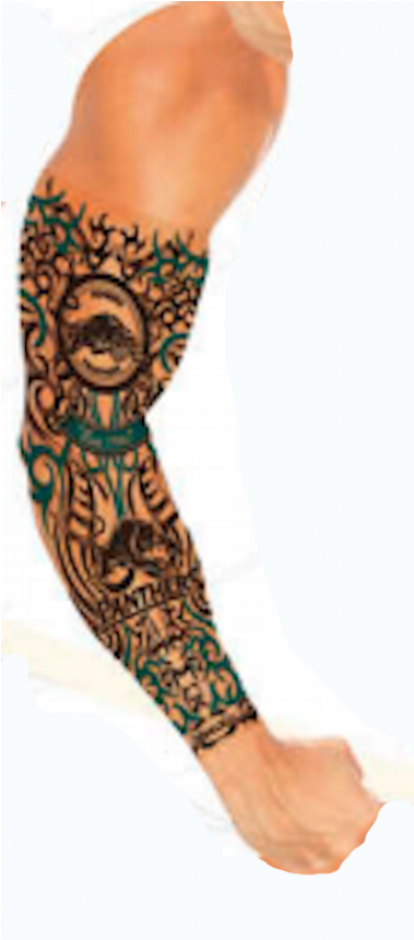 Penrith Panthers Nrl Youth Tattoo Sleeve - Temporary Tattoo (800x860), Png Download