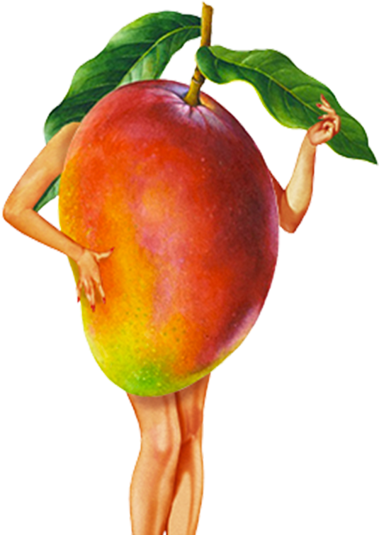 Mango Ile Ilgili Görsel Sonucu - Mango Fandango (600x800), Png Download