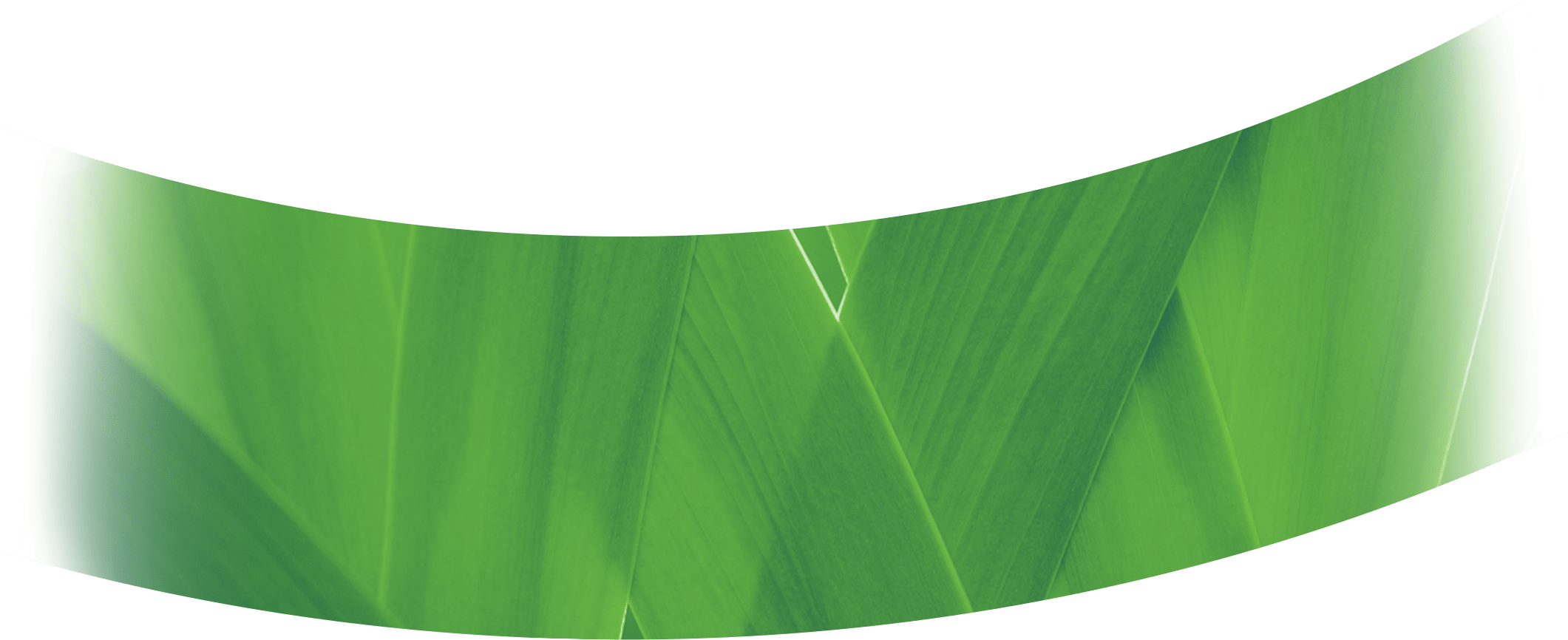 Today, We Are Empowering Smallholders To - Table (2120x910), Png Download