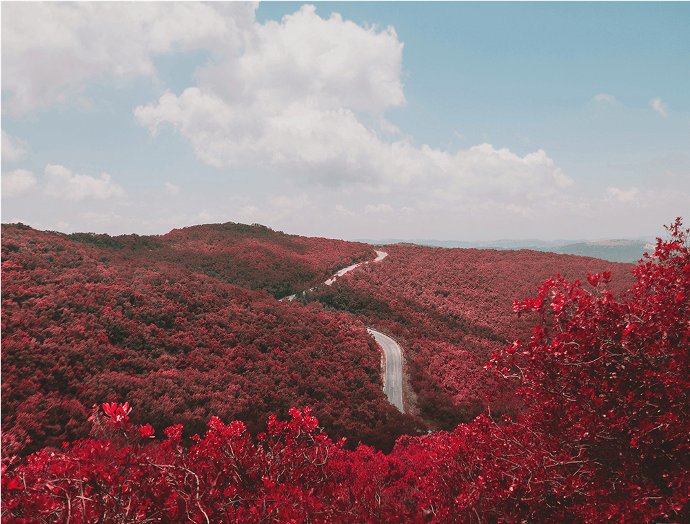 Intrepid Landscapes - Let Everything Has Breath Praise The Lord (1000x1000), Png Download