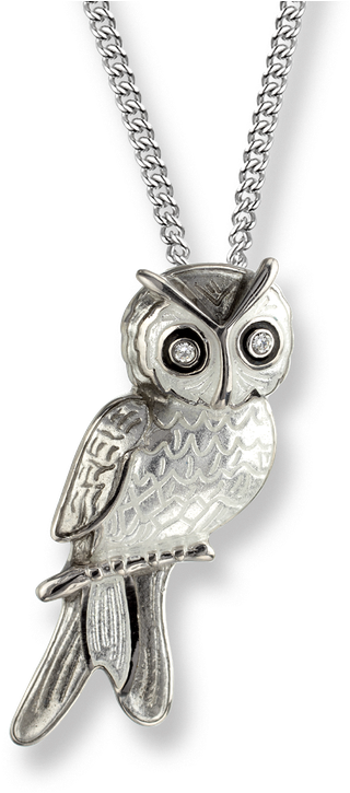 Stock - Owl Pendant Transparent Background (800x800), Png Download
