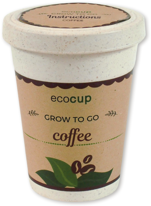 Rosemary (800x800), Png Download