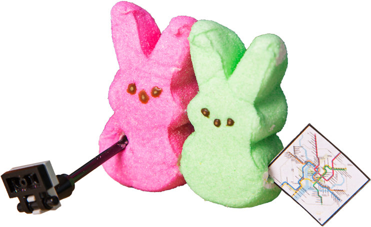 Peeps Brought To A New Level - Pink Peep Candy Transparent (800x471), Png Download