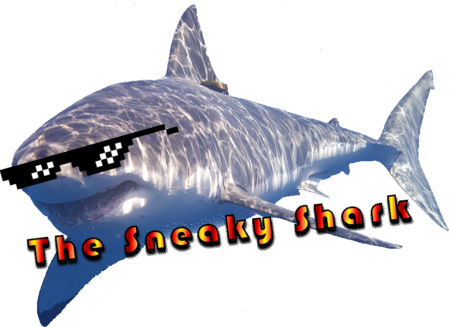 Finish Him - Raie De La Méditerranée (883x643), Png Download