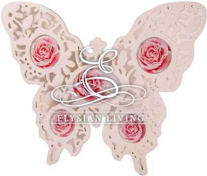 Butterfly Family Picture Frame - Butterfly (600x600), Png Download