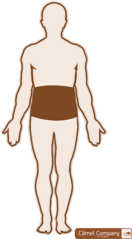 Outline Drawing Of Human Body (536x810), Png Download