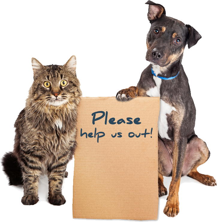 Donate - Please Donate To Help The Animals (724x738), Png Download
