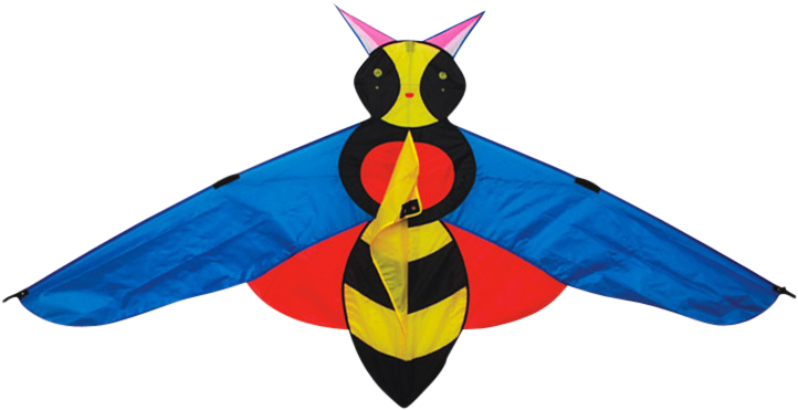 Net-winged Insects (876x609), Png Download