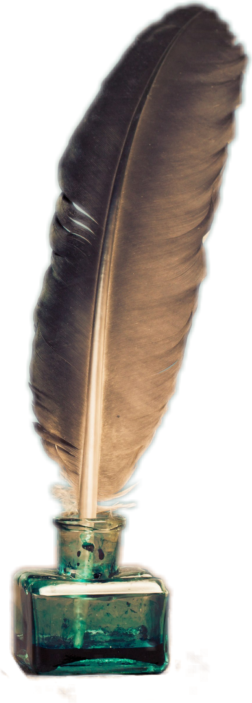 #feather #pen #ink #old (1024x2854), Png Download