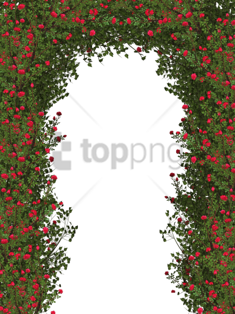 Free Png Rose Flower Tree Png Image With Transparent - Shrub Rose Bushes Png (480x640), Png Download