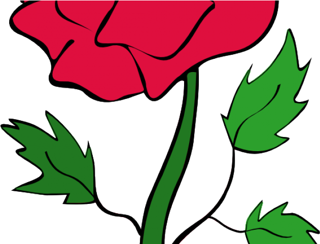 Gothic Clipart Rose Vine - Pink Rose Cartoon Png (640x480), Png Download