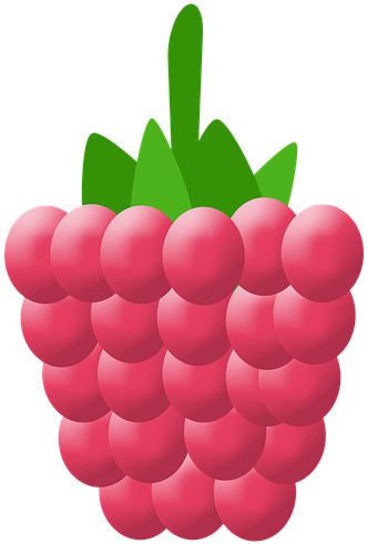 Raspberry, Vector, Fruit - Seedless Fruit (960x600), Png Download