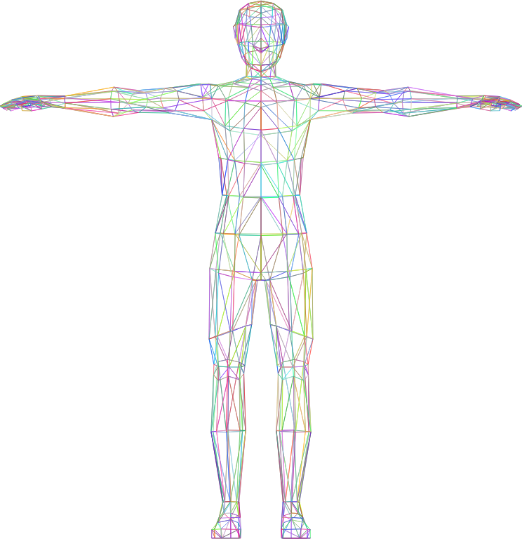 Medium Image - Transparent Background Transparent Human (744x768), Png Download