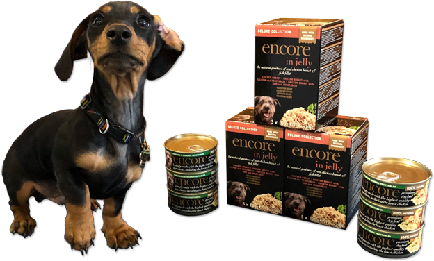 'a Doggie Dinner With Real Bite' - Dachshund (800x500), Png Download