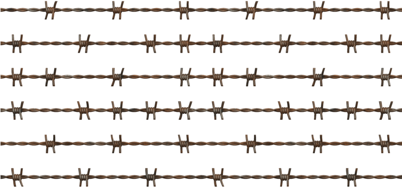 Com Barbed Wire Png - Barbed Wire (800x400), Png Download