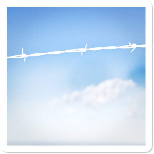 Barbed Wire (650x650), Png Download