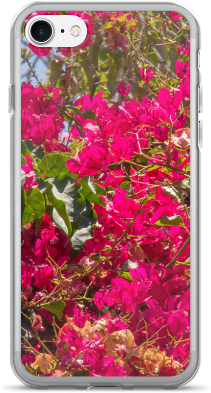 Lankershim Village Bougainvillea Iphone 7/7 Plus Case - Mobile Phone Case (1000x1000), Png Download