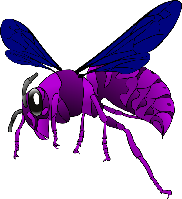 Hornet Clipart Transparent - Purple Hornet Clipart (600x655), Png Download