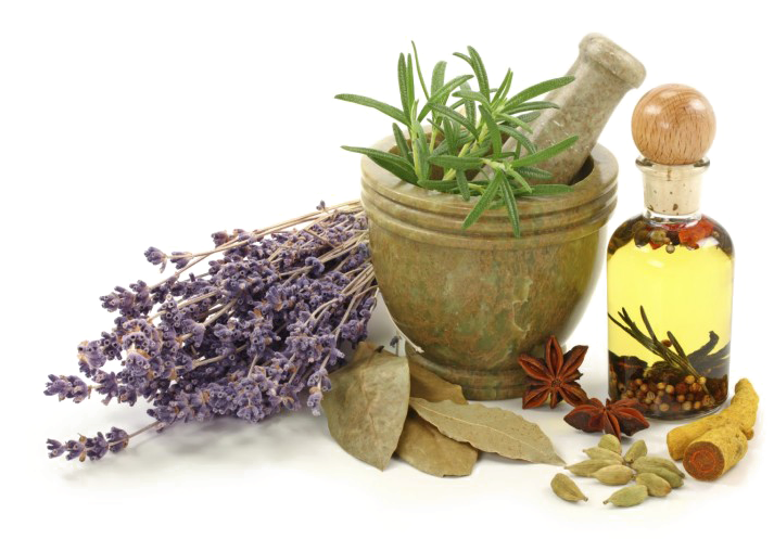 Naturopathy Png Transparent Image - Homeopathy Natural (749x528), Png Download