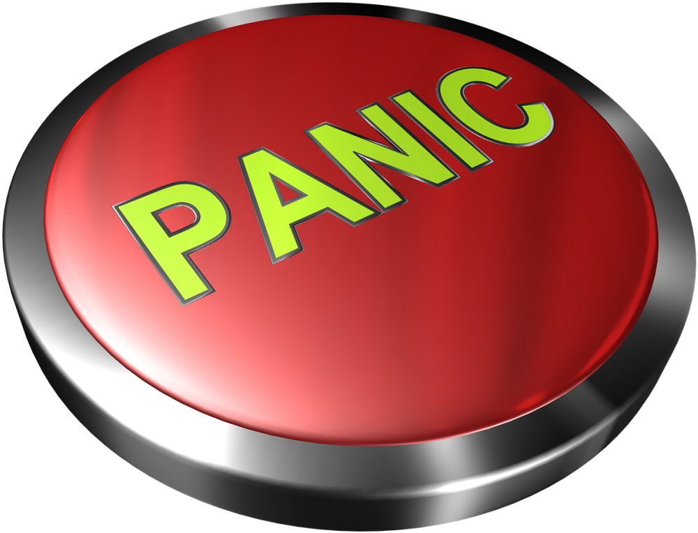 Msnbc Hires Chicken Little As Commentator For Remainder - Panic (1024x815), Png Download