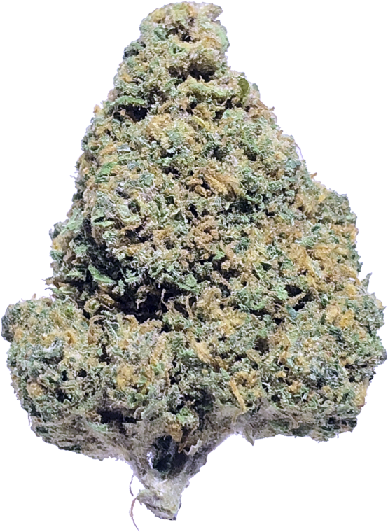 Blue Dragon - Outcrop (800x800), Png Download