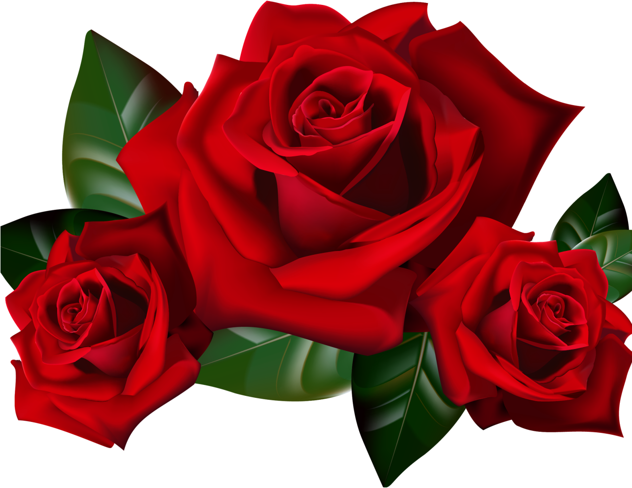 Transparent Background Roses Png Transparent (1280x1024), Png Download