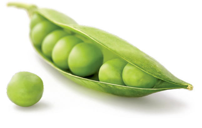 Green Peas, Carrots And Sweet Corn - Pea (800x533), Png Download