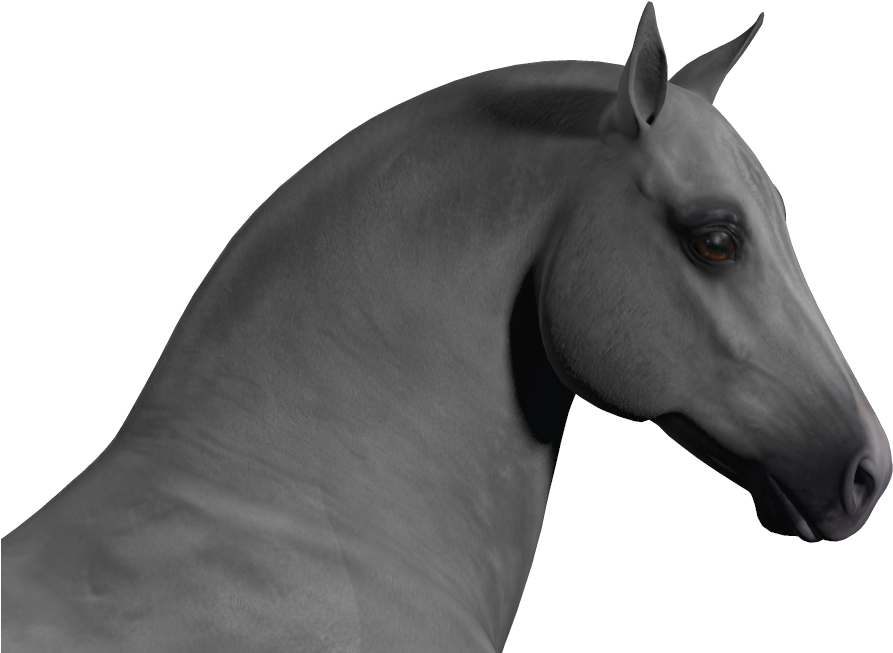 Banner Royalty Free Stock Ear Transparent Horse - Horse Ears Png (1212x822), Png Download