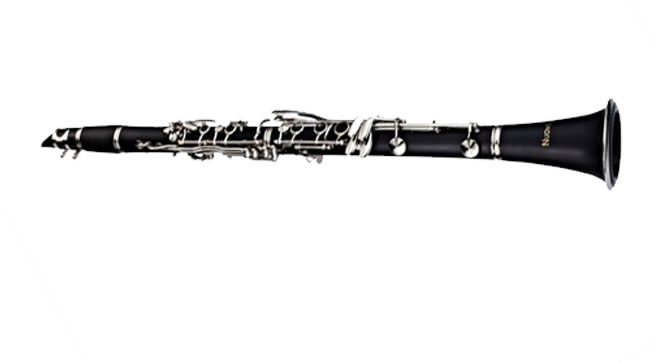 Fontaine Bb Clarinet Fbw210 - Piccolo Clarinet (666x518), Png Download