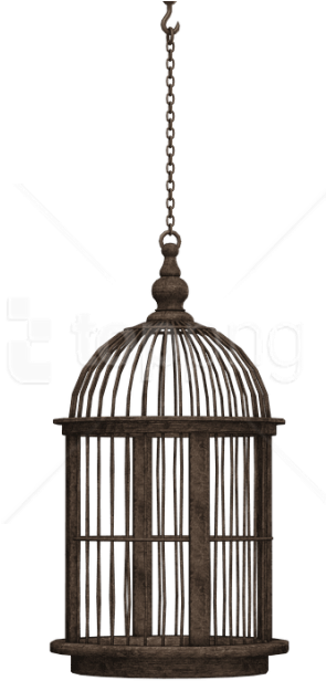 Free Png Download Bird Cage Png Images Background Png - Bird Cage Silhouette Png (850x638), Png Download