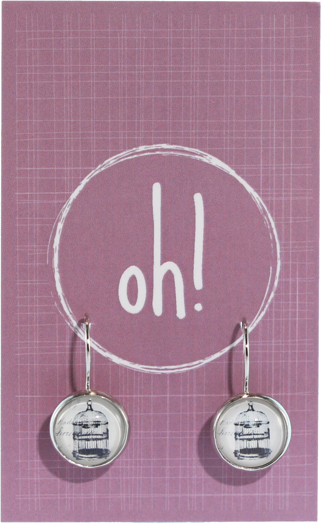 Bird Cage Earrings - Earring (2048x2048), Png Download