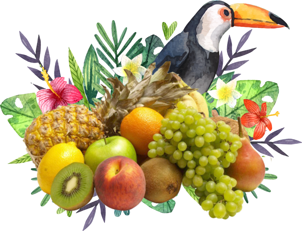 Report Abuse - Flora And Fauna Poster (1024x785), Png Download