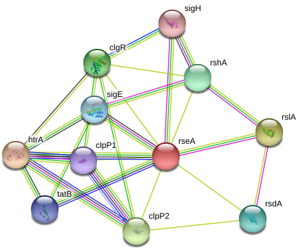 Rsea Protein - Circle (975x397), Png Download