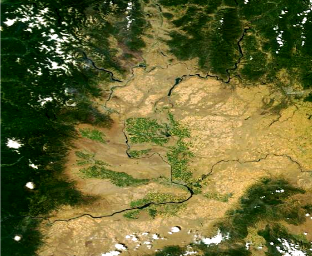 We Have Cut Down The Trees In Western Washington, Replacing - Conifer (1600x880), Png Download