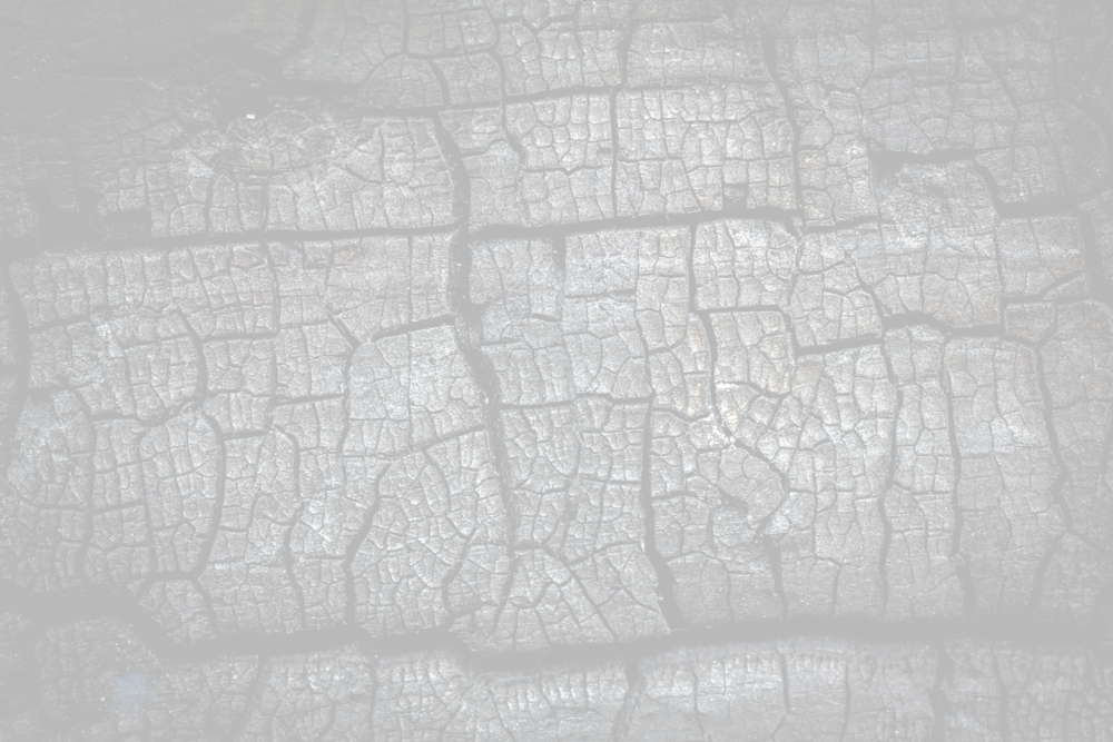 Transparent Charcoal (1000x667), Png Download