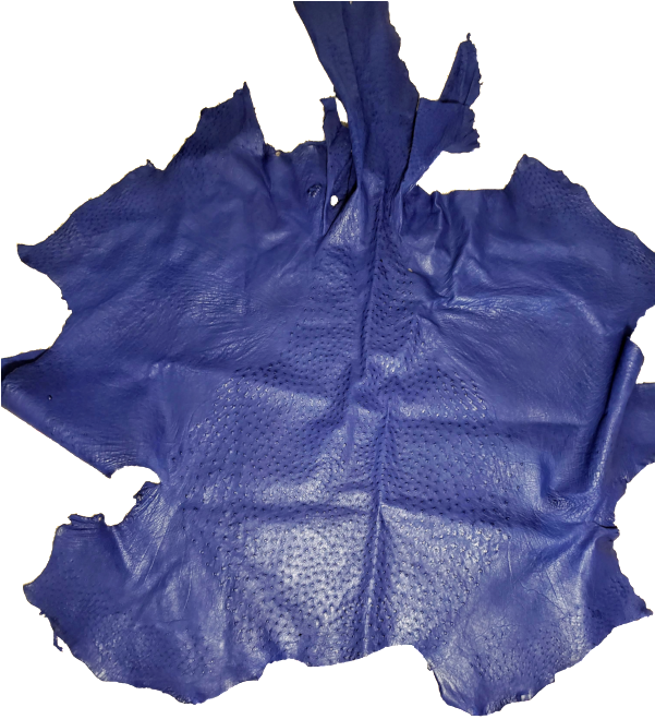 Load Image Into Gallery Viewer, Ostrich Leather - Hoodie (600x800), Png Download