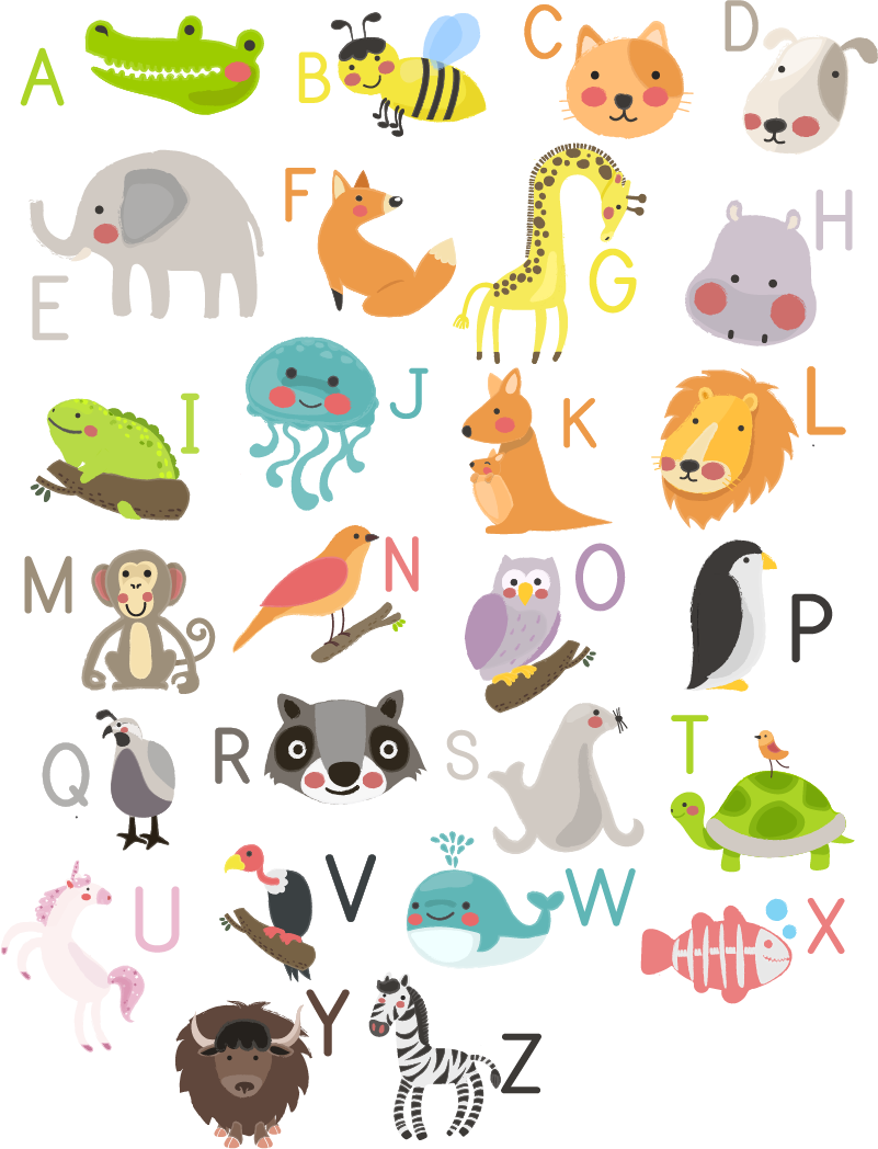 Wall Colour - Animales En Ingles Con M (801x1048), Png Download