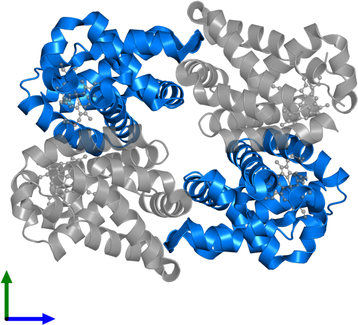 <div Class='caption-body'>pdb Entry 4hrt Contains 2 - Chain (800x800), Png Download