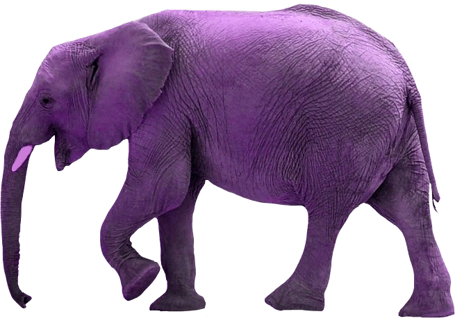 Asian Elephant Silhouette Png (665x465), Png Download