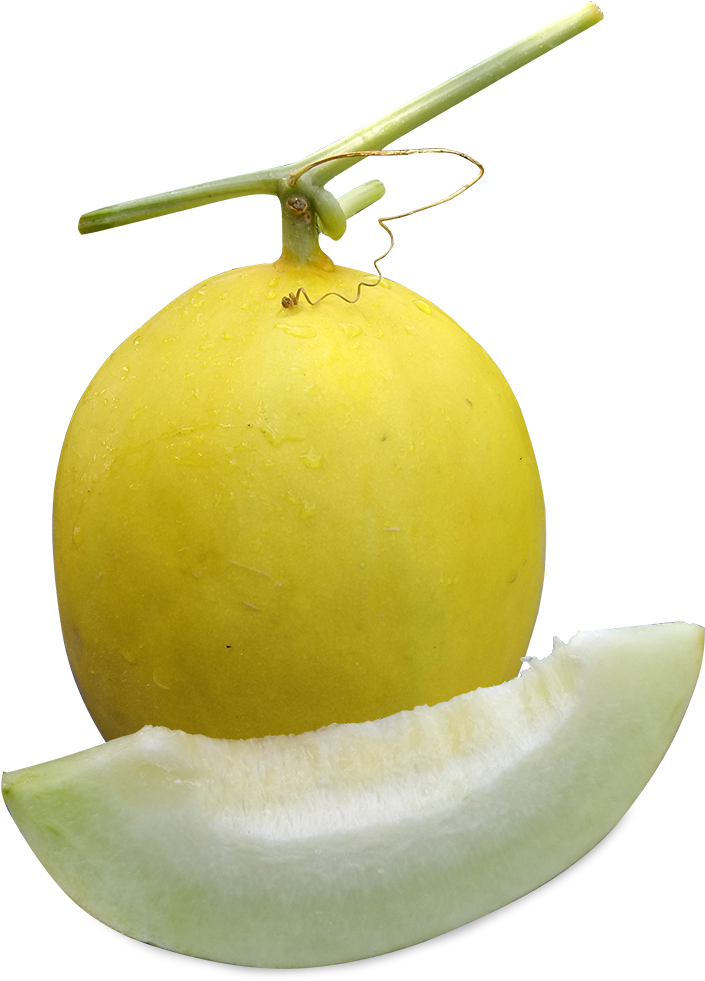 Home / Product Information - Pomelo (1200x1200), Png Download