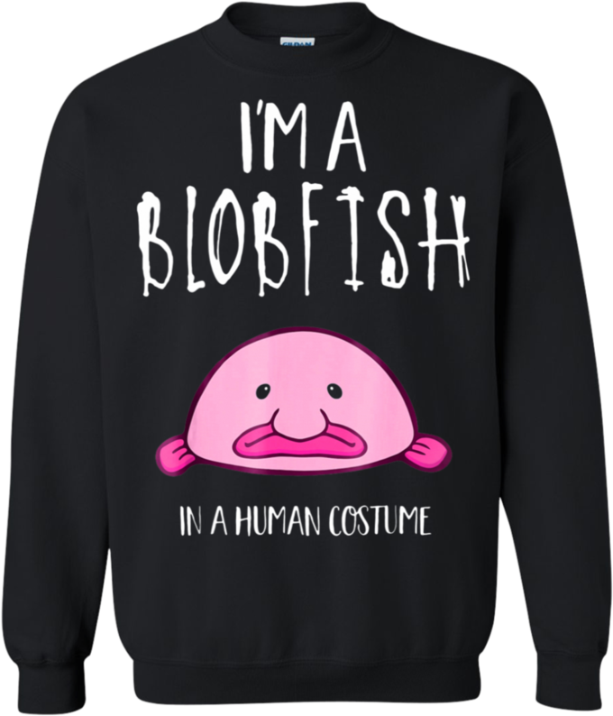 Home - Whale (801x801), Png Download