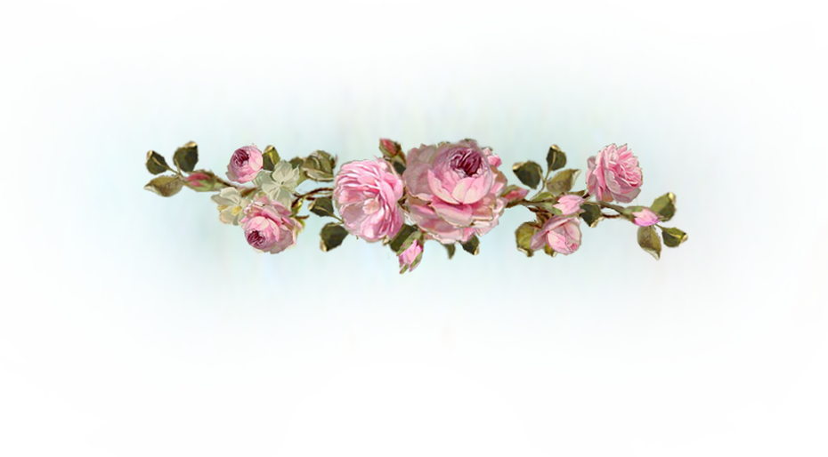 Gorgeous Antique Blush Pink 2 Tier Scallop Table With - Garden Roses (930x514), Png Download