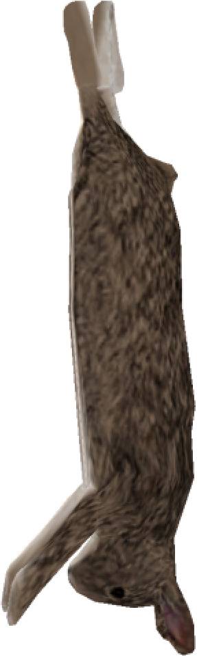 Raw Rabbit Leg Skyrim Wiki - Knee-high Boot (400x1014), Png Download