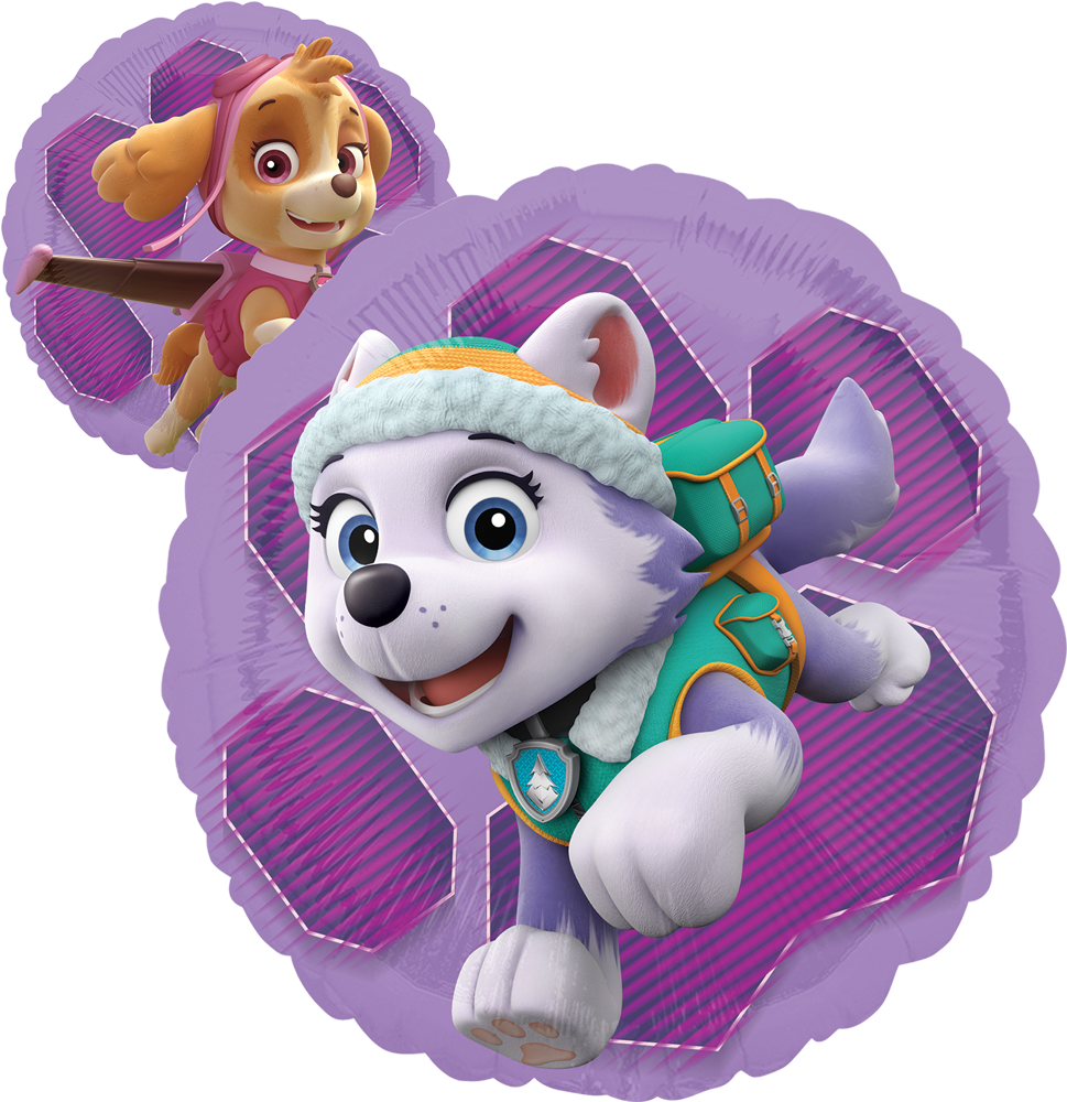 Paw Patrol Skye & Everest - Paw Patrol Girls (1000x1000), Png Download