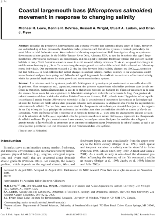 Pdf - Borealis - Partitur - J. Beuys. Gallery Jan Wagner, (600x776), Png Download